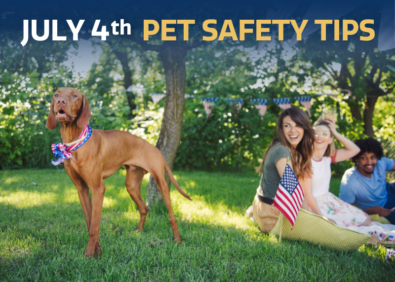 Houston Humane Society | July 4th Pet Safety Tips
