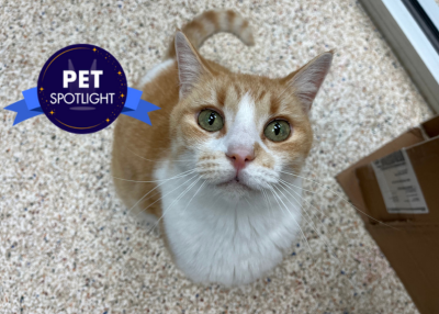 Houston Humane Society | Jumanji