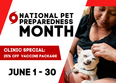 Houston Humane Society | June Clinic Special