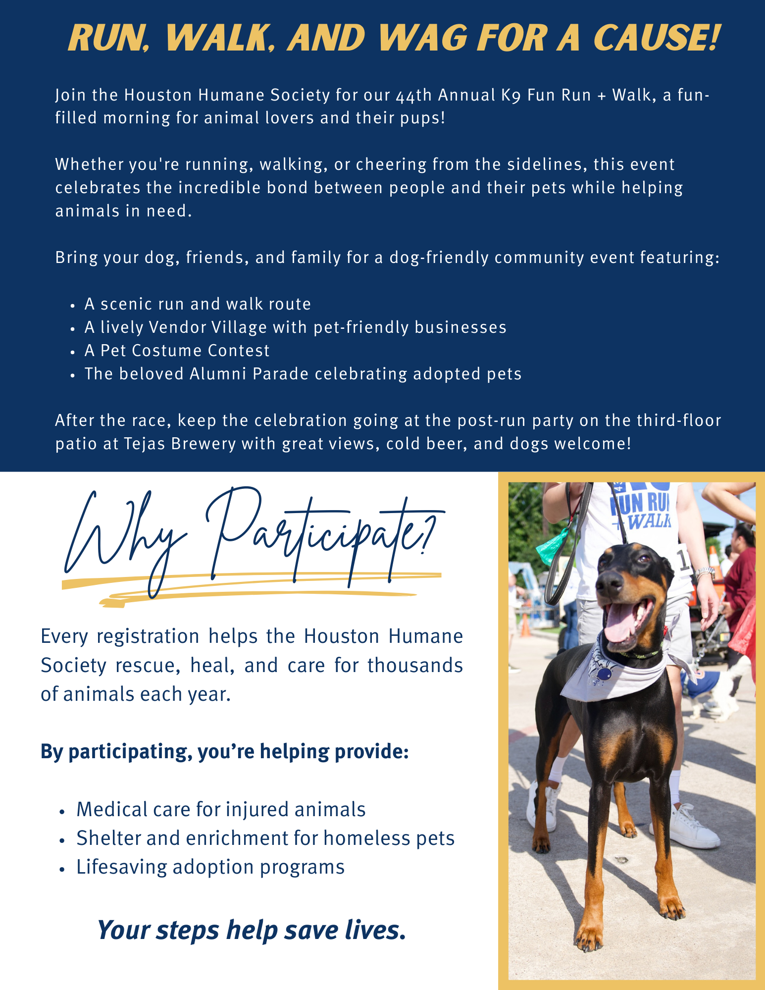 k9-fun-run-2026-page-1