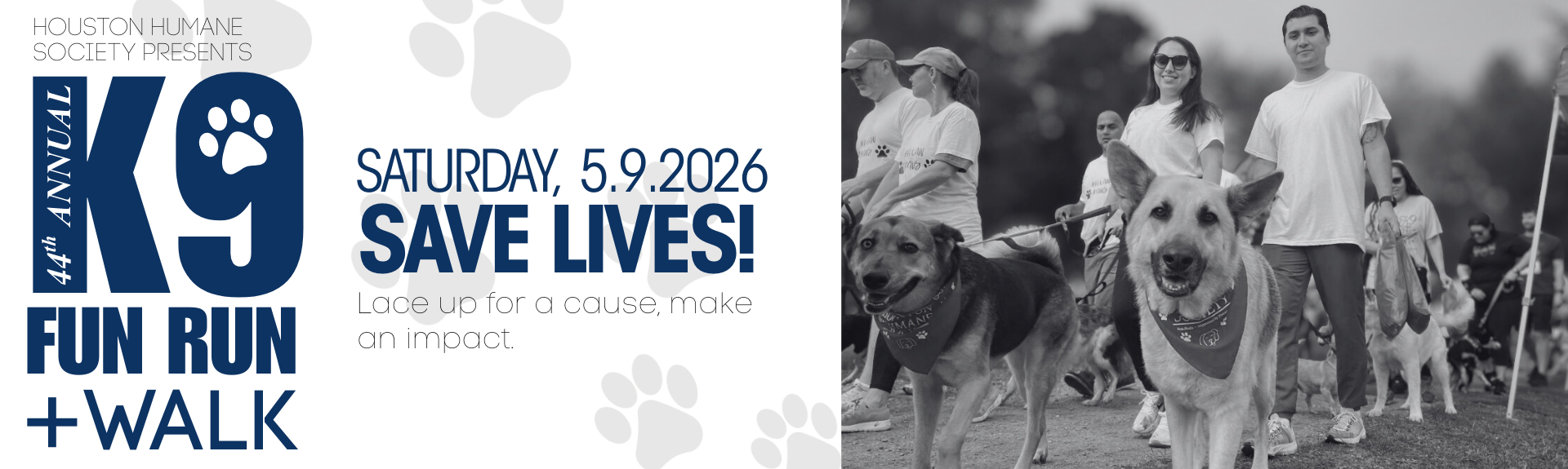 k9-fun-run-2026-page-header