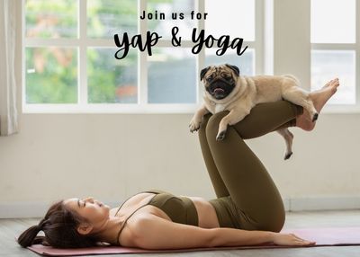 Houston Humane Society | Yoga with YAP
