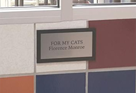kitty-kat-kondo