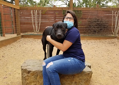 Houston Humane Society | Kristoff