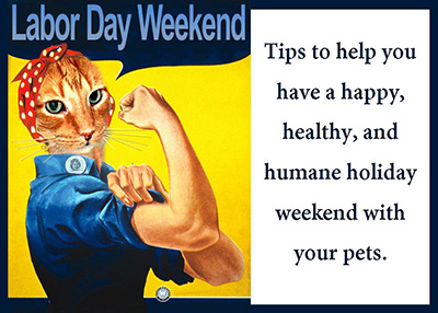 Houston Humane Society Labor Day Weekend