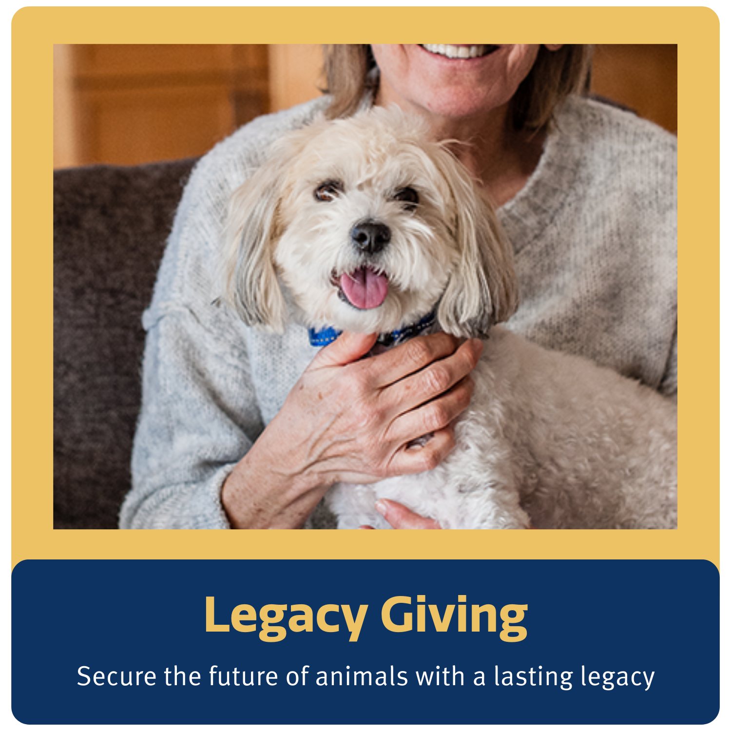 legacy-giving(1)