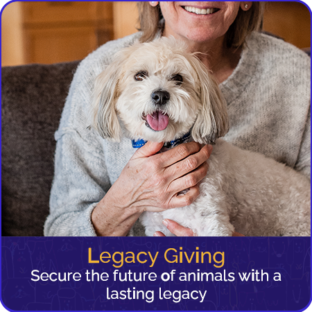 legacy-giving