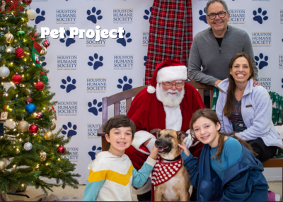 Houston Humane Society | Lightning McQueen