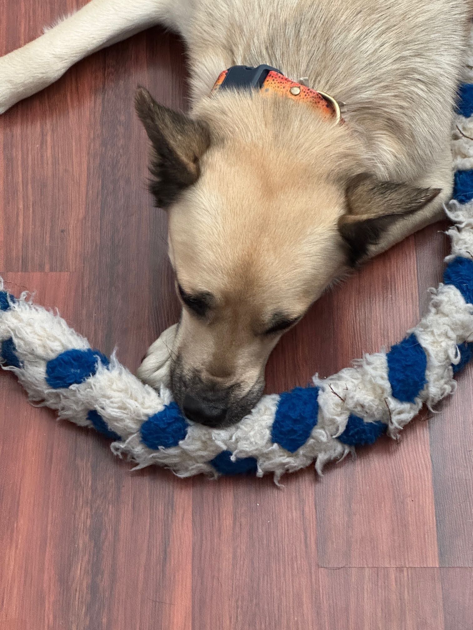 lola-1
