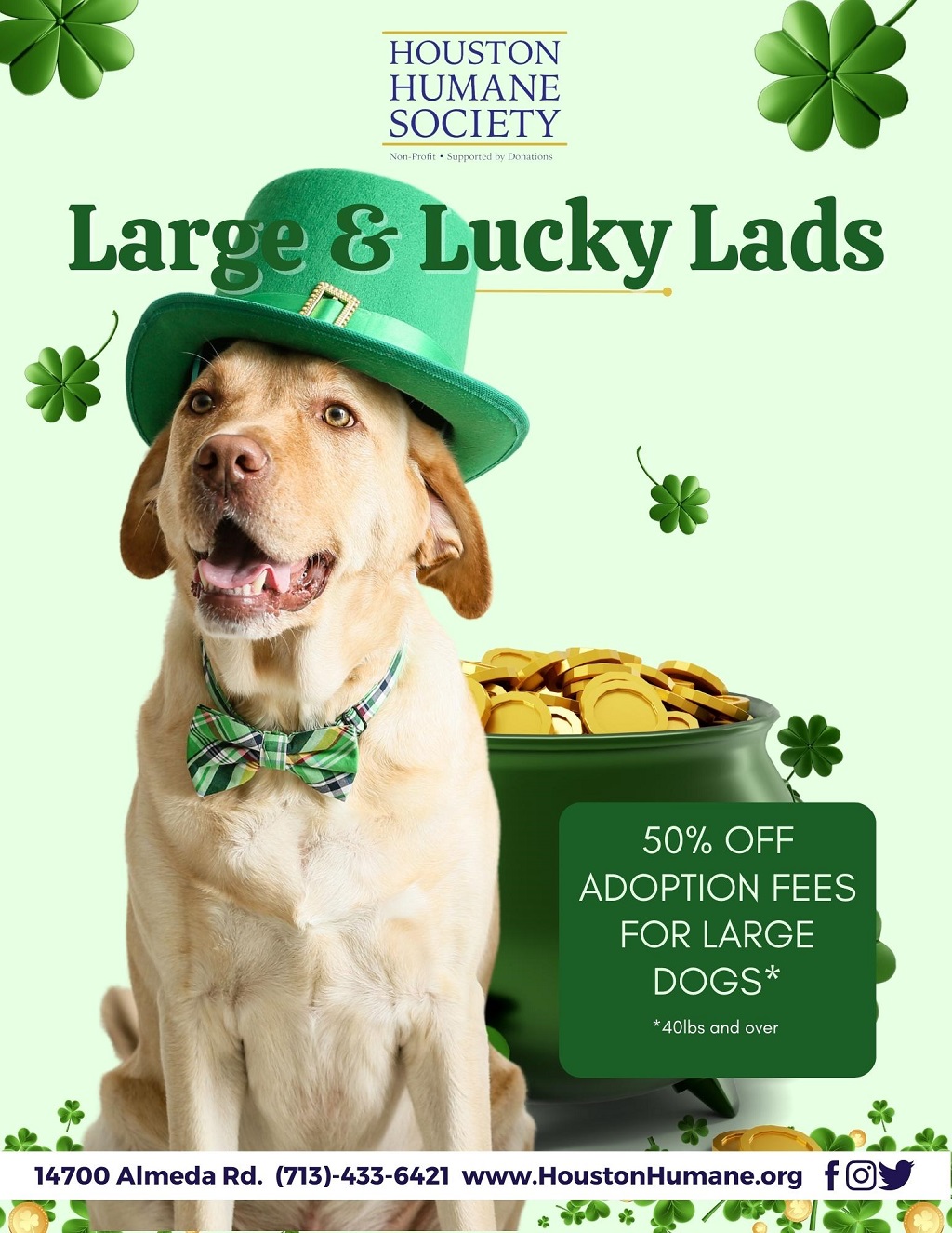 march-2023-adoption-promotion-flyer