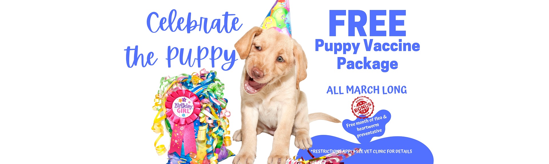 Houston Humane Society | Animal & Dog Shelter | Houston, TX Houston Humane Society | Animal & Dog Shelter | Houston, TX