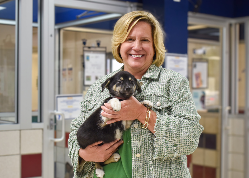 Houston Humane Society | Houston Humane Society Names Mary H. Beck as New Executive Director