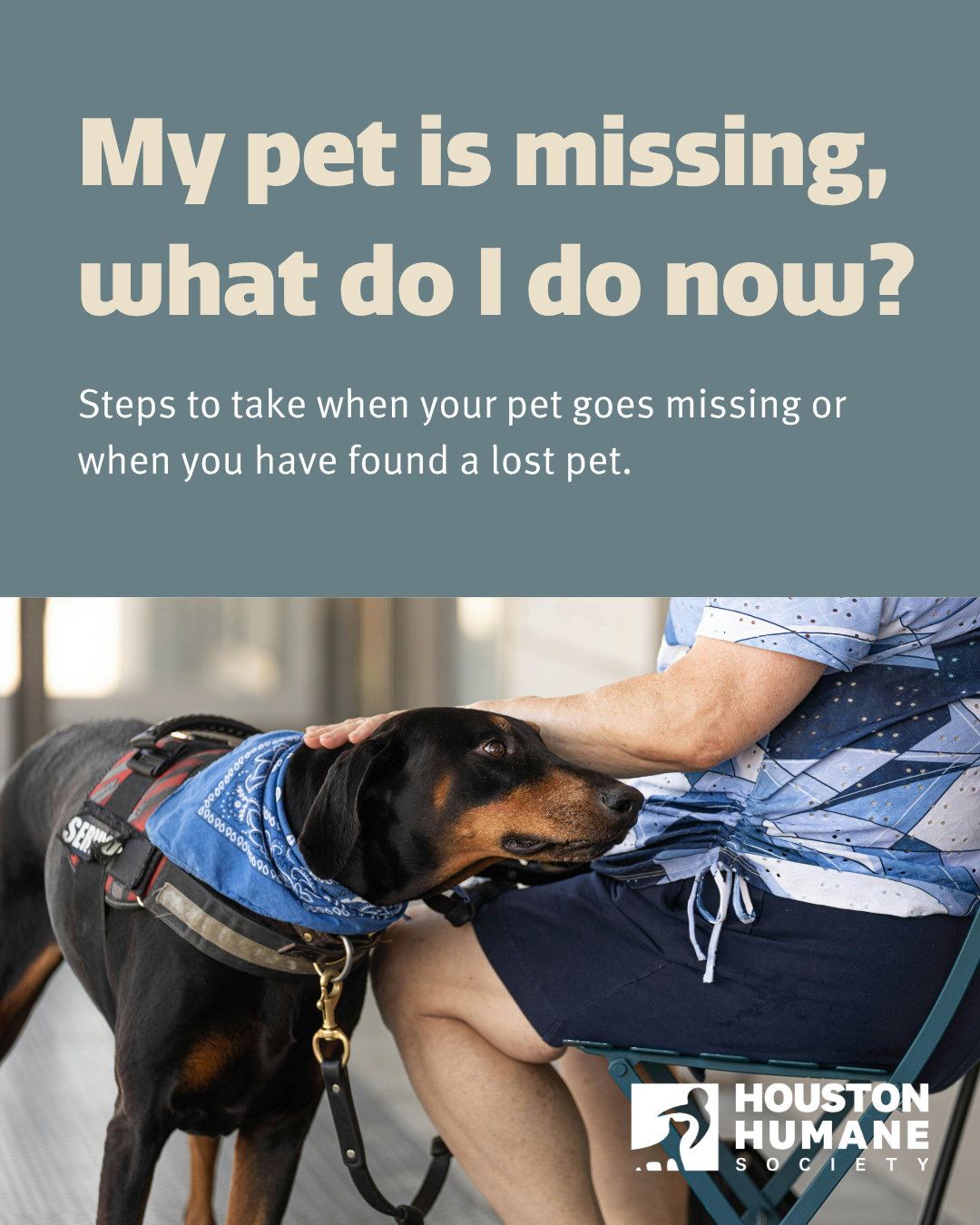 missing-pet-1