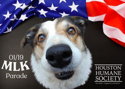 Houston Humane Society | MLK Unity Parade