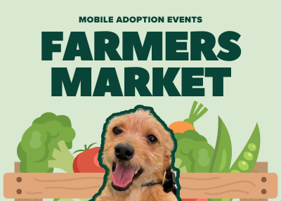 Houston Humane Society | Mobile Adoptions at Bay Area Farmers Market