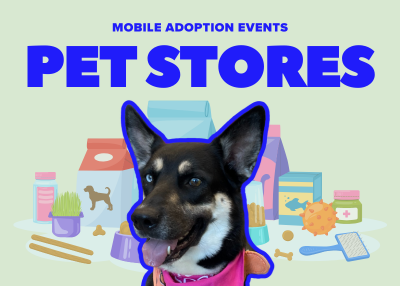 Houston Humane Society | Mobile Adoptions at PetSmart in Webster