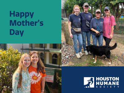 Houston Humane Society | Moms and Daughters Making a Difference Together