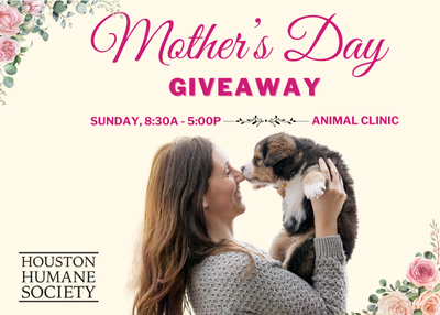 Houston Humane Society | Mother's Day Giveaway
