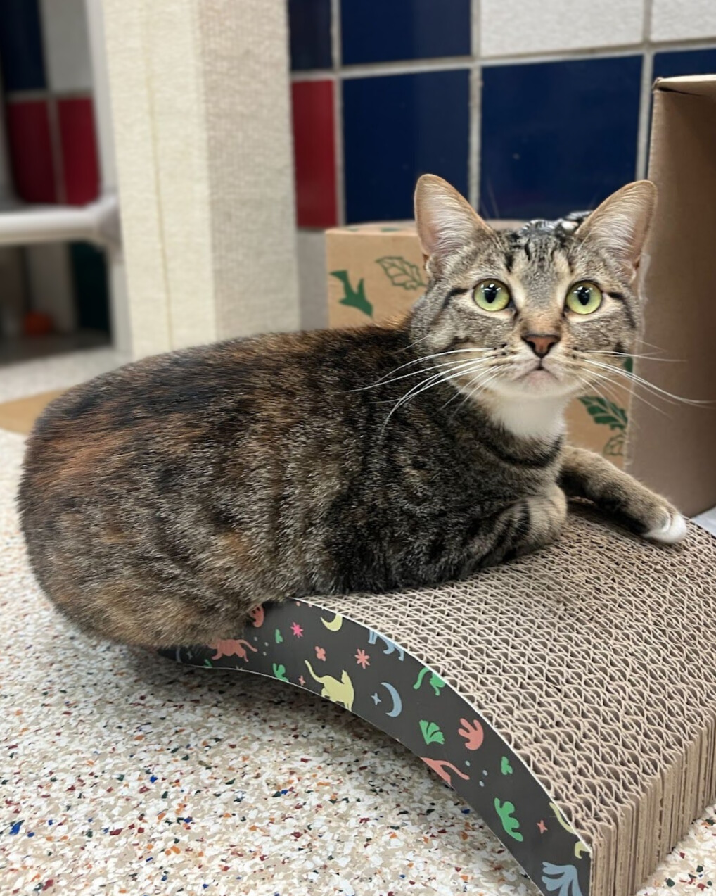 mr-marshall-1-edited