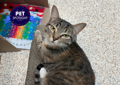 Houston Humane Society | Mr. Marshall