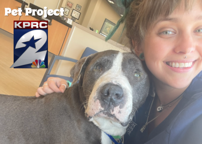 Houston Humane Society | Murdock
