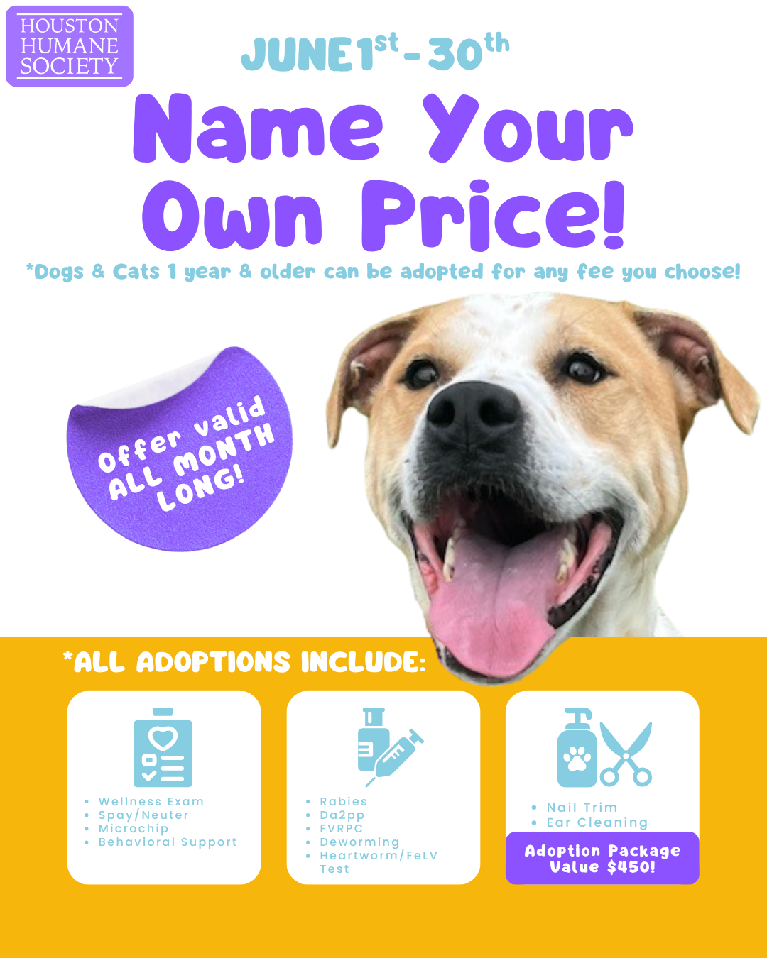 name-your-price-updated