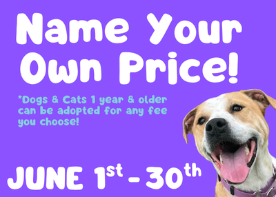 Houston Humane Society | "Name Your Own Price" June Adoption Special