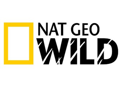 Houston Humane Society | Houston Humane Society featured on Nat Geo Wild!