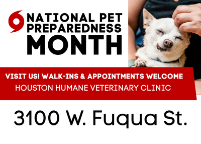 Houston Humane Society | National Pet Preparedness Month