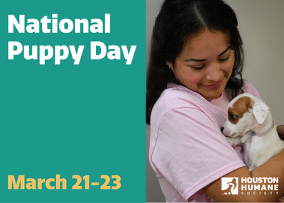 Houston Humane Society | National Puppy Day