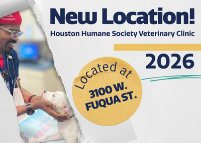 Houston Humane Society | Coming Soon: Houston Humane Society Veterinary Clinic Expands Care for Houston Pets