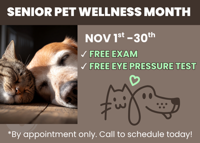 Houston Humane Society | November Clinic Special