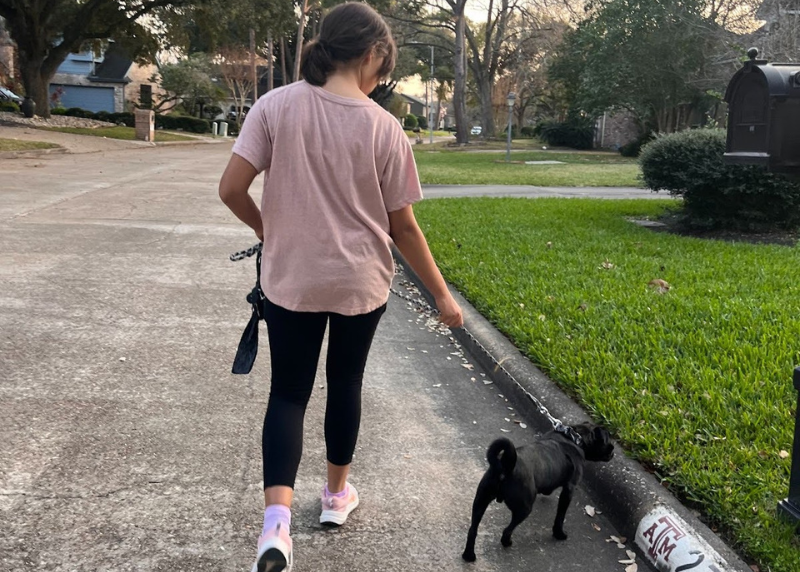 Houston Humane Society | Jet's Happy Tail