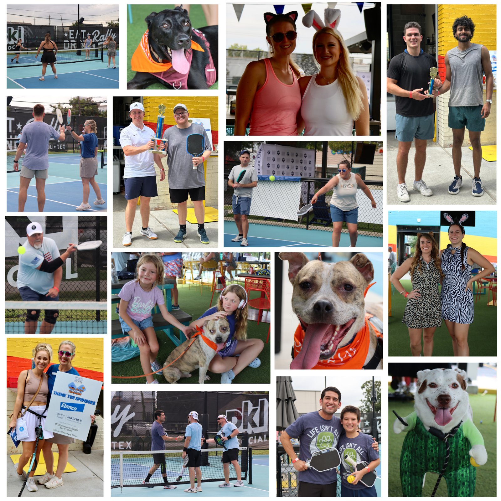 paddles-for-paws-collage