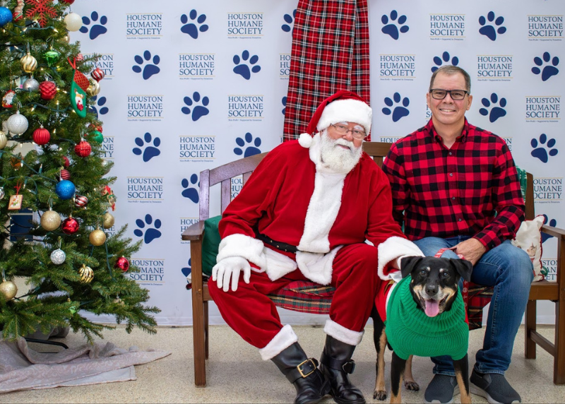 Houston Humane Society | Paris' Happy Tail