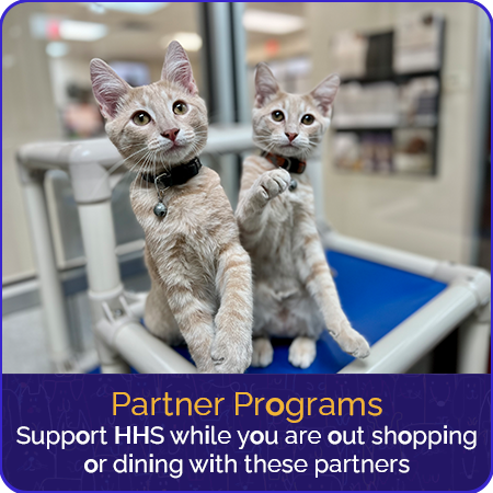partner-programs(1)