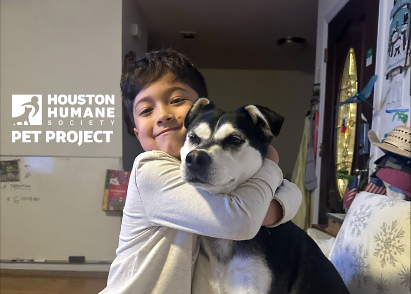 Houston Humane Society | Patitas