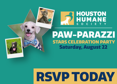 Houston Humane Society | Paw-Parazzi Stars Celebration Party