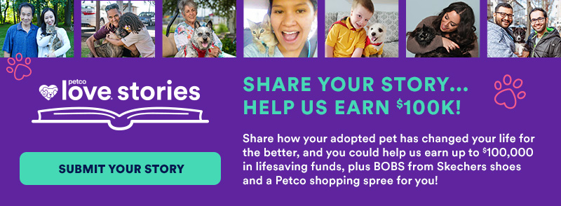 petcolovestoriesbanner