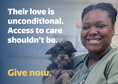 Houston Humane Society | Support Pets for Life