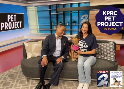 Houston Humane Society | Petunia