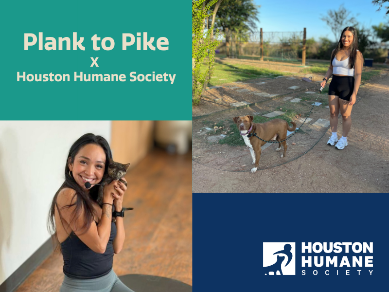 Houston Humane Society | Pilates Mat Class and Dog Walk