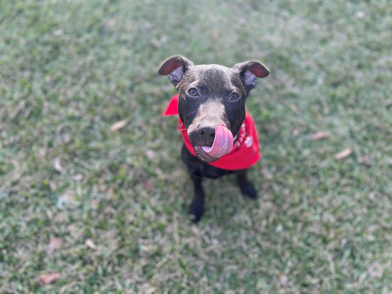 psruby3