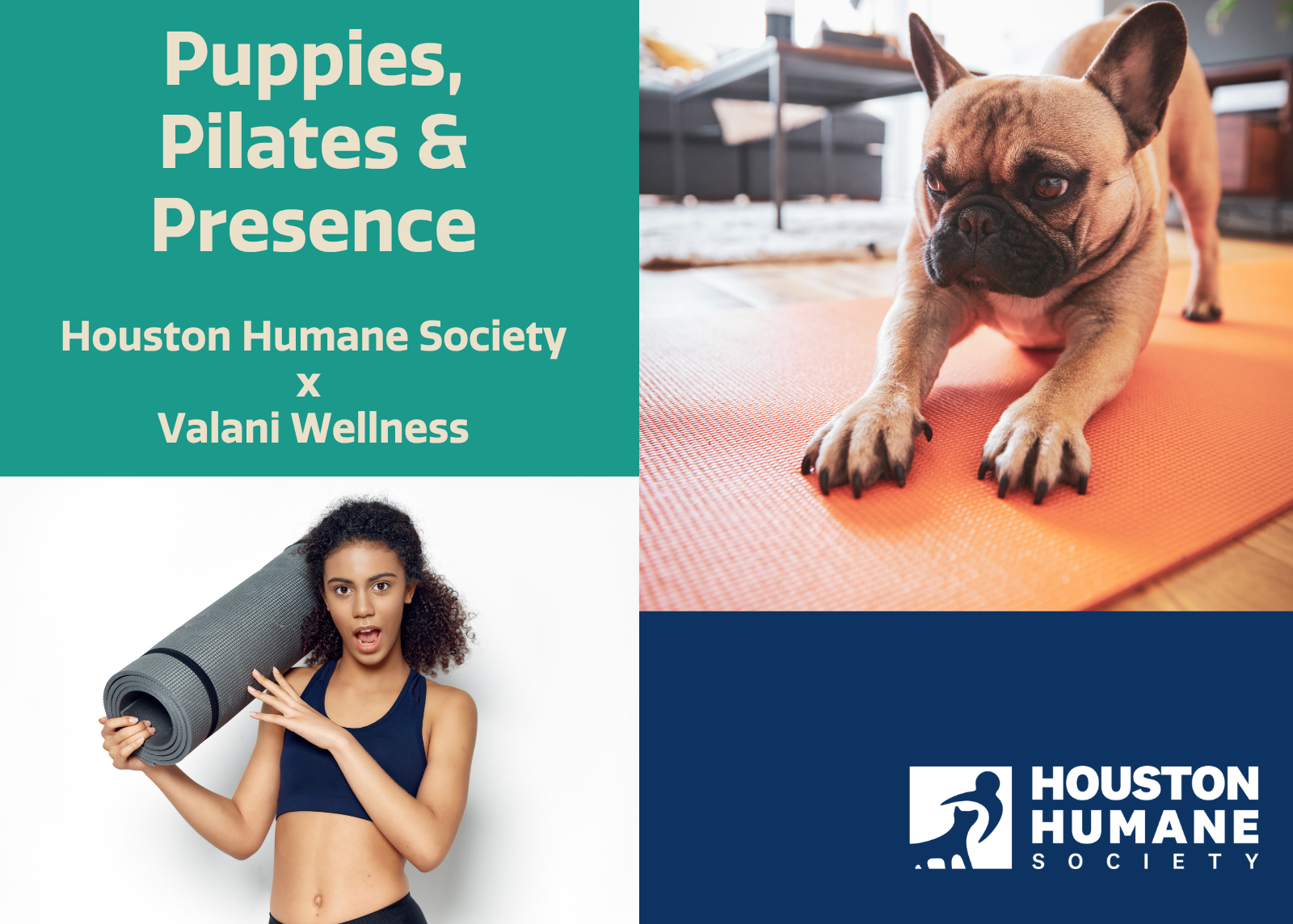 Houston Humane Society | Puppies, Pilates, and Presence