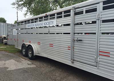 Houston Humane Society Animal Cruelty Seizure 3/31/2016