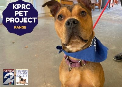 Houston Humane Society | Range