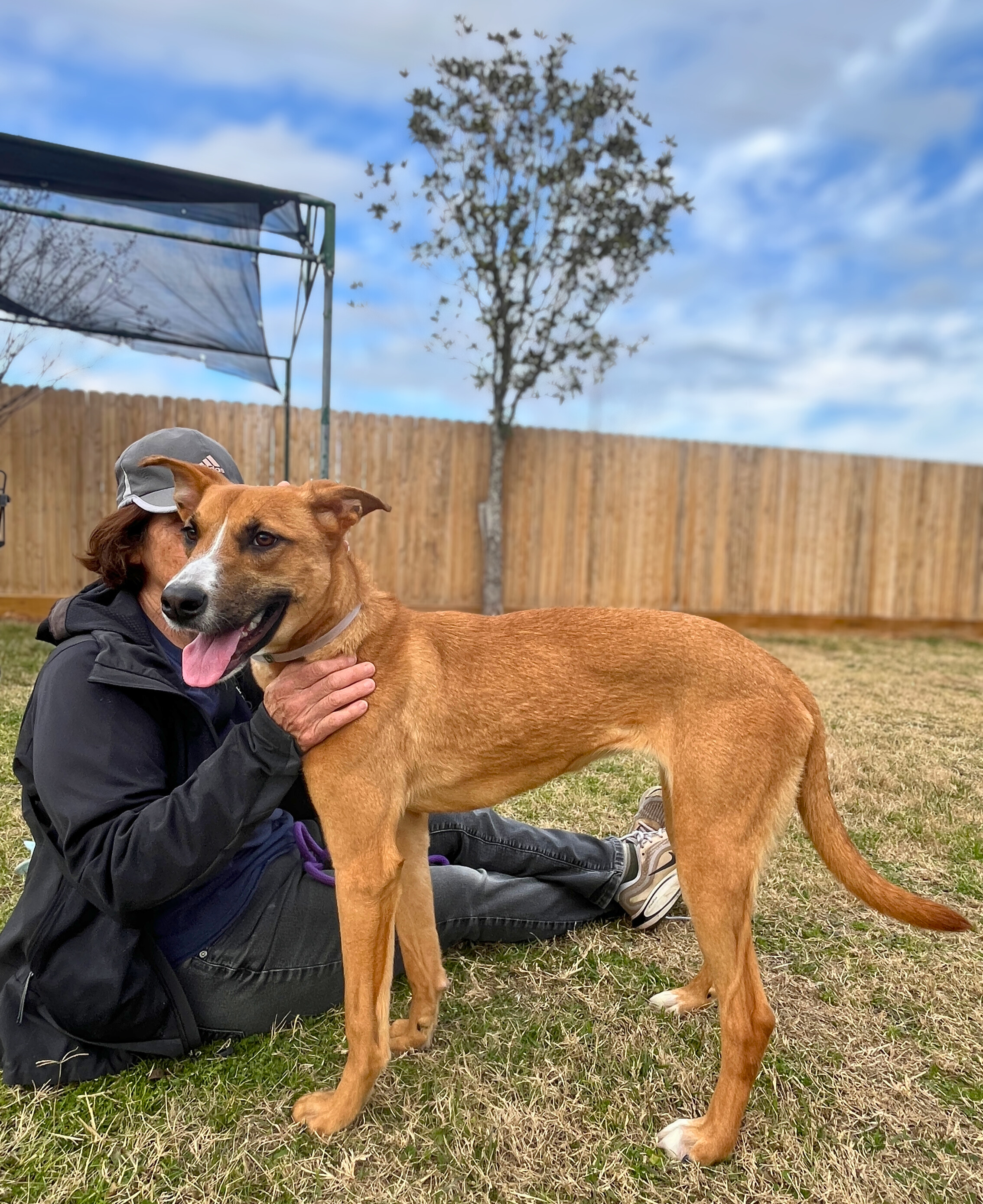 rare-3-2026-02-02-edited