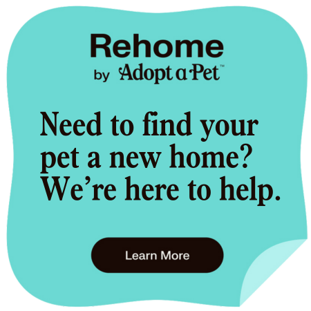 rehome-by-adopt-a-pet