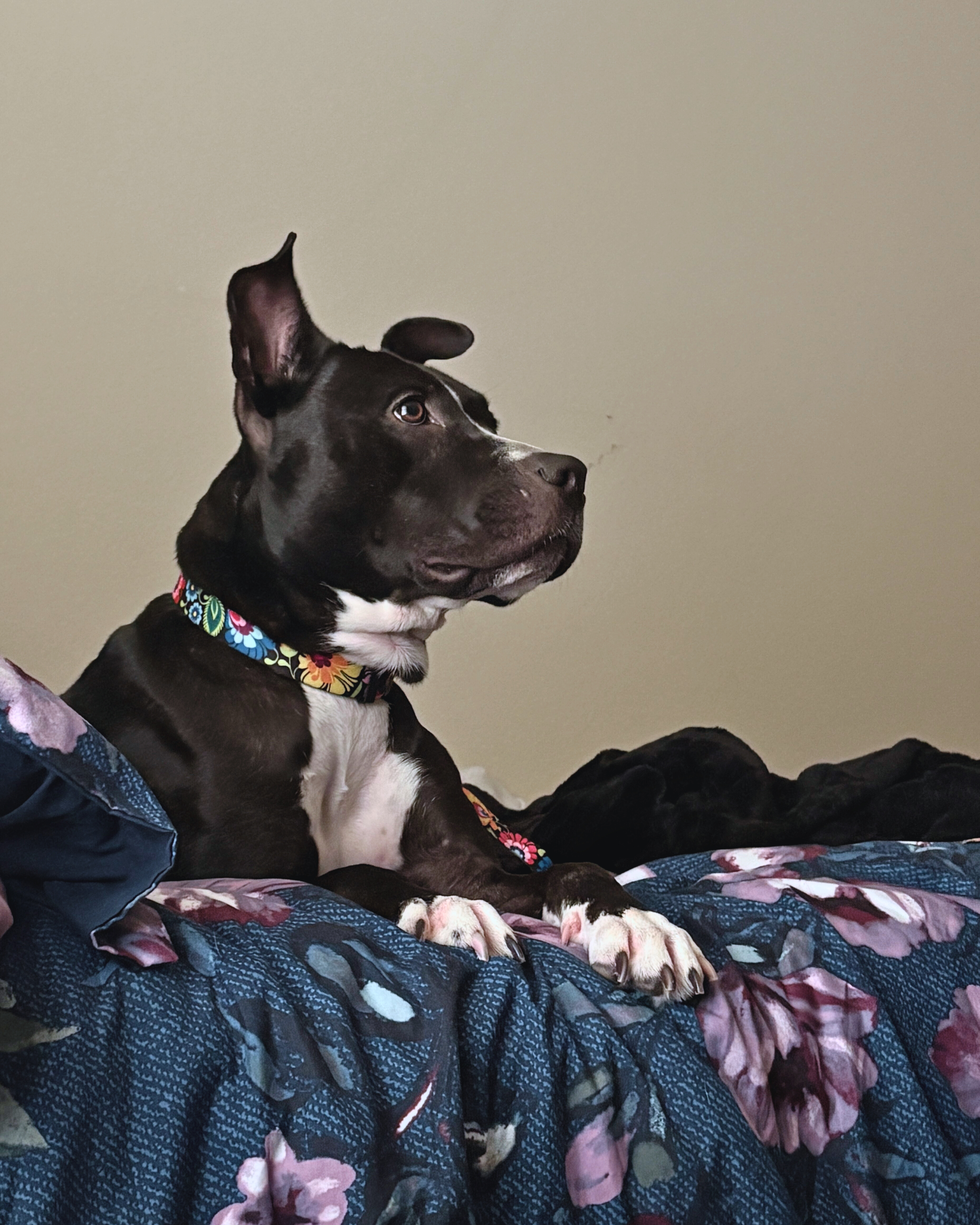 remy-1-final-edit(1)