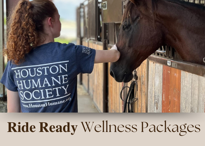 Houston Humane Society | Public Horse Clinic